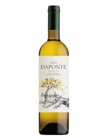 GODELLO SILVA DAPONTE